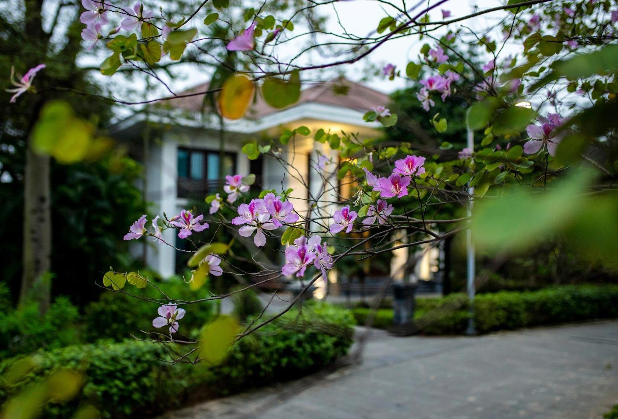 Ncc Garden Villas - Ncc Hotel Hanoi Buitenkant foto